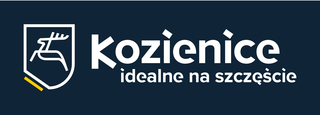 Gmina Kozienice