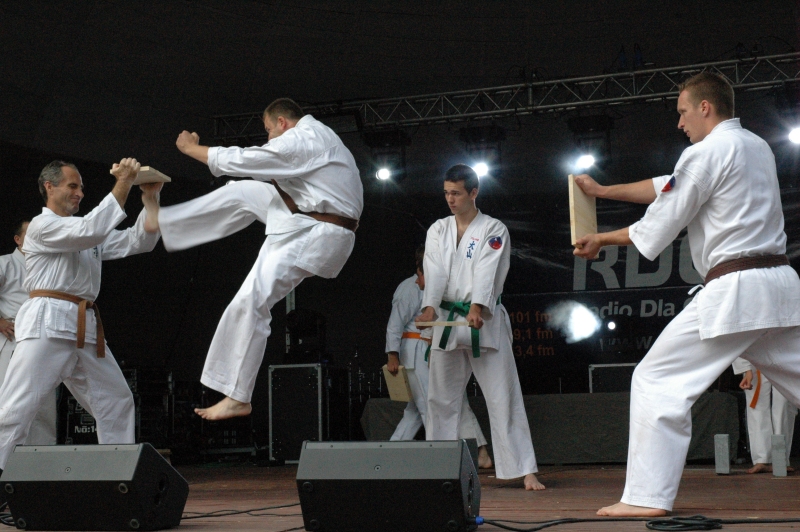 Pokaz karate - Nadwiślański Klub Sportów Walki WULKAN
